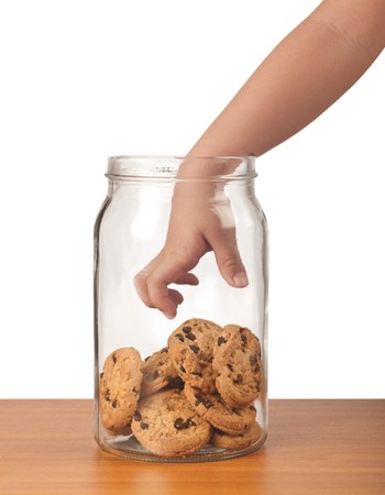 Don’t Raid the Cookie Jar