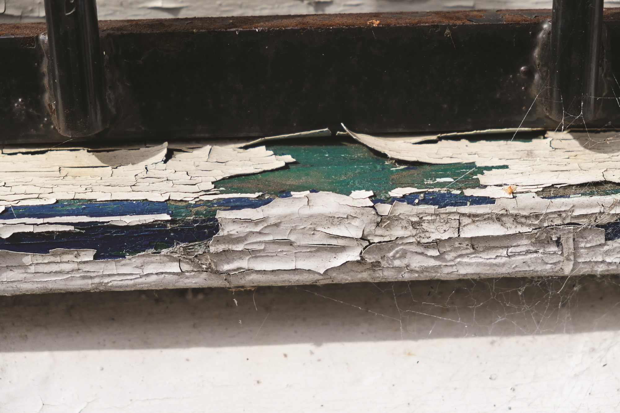 Lead Paint and  Other Toxins