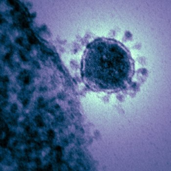 Coronavirus & COVID-19